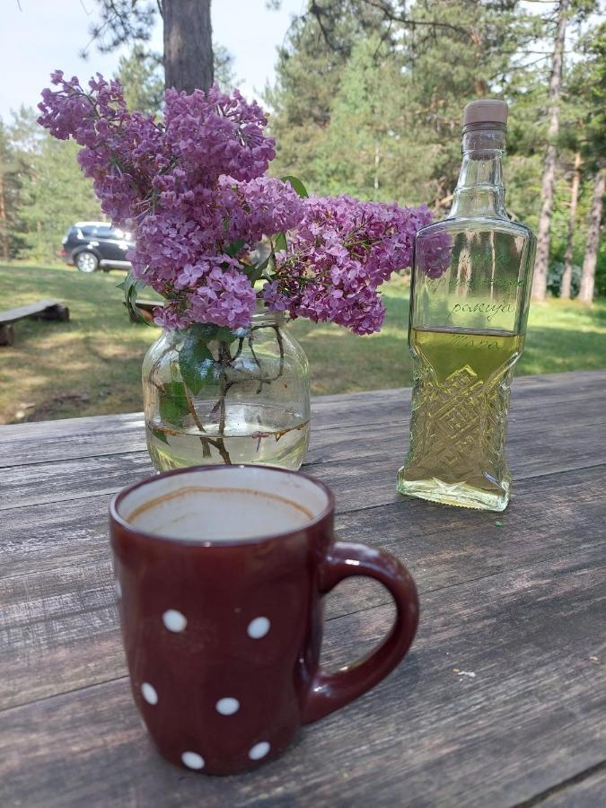 Rustic Home Tara Kaludjerske Bare Luaran gambar